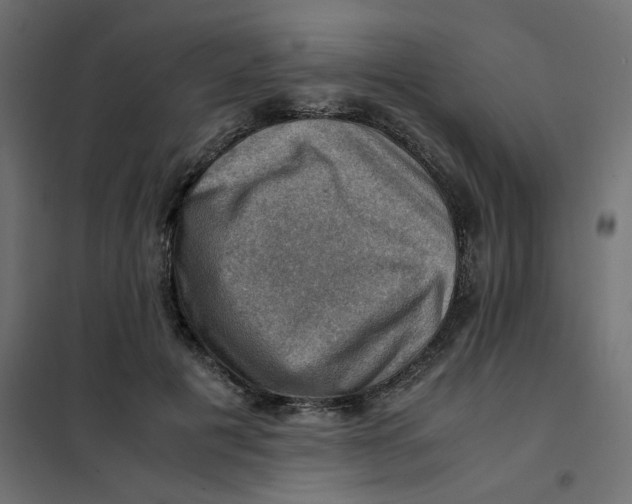 X0000102010601200808081726