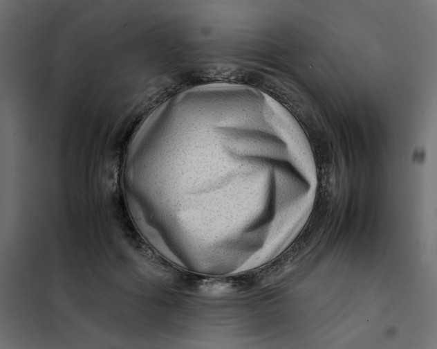 X0000102010602200808081726