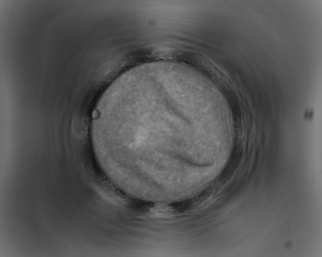 X0000102010603200808081726