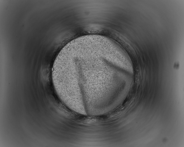 X0000102010604200808081726