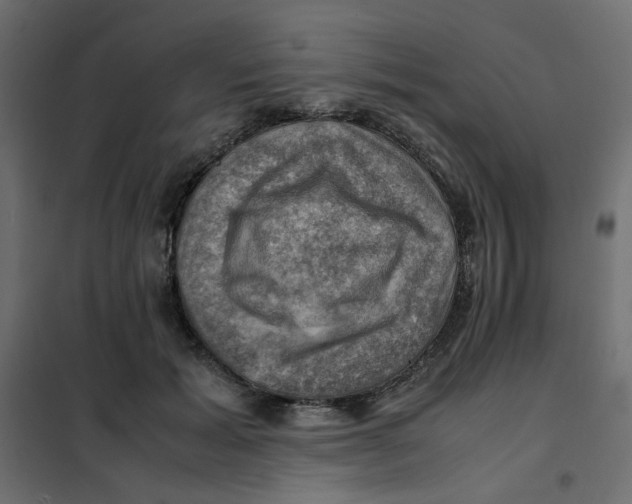 X0000102010605200808081726