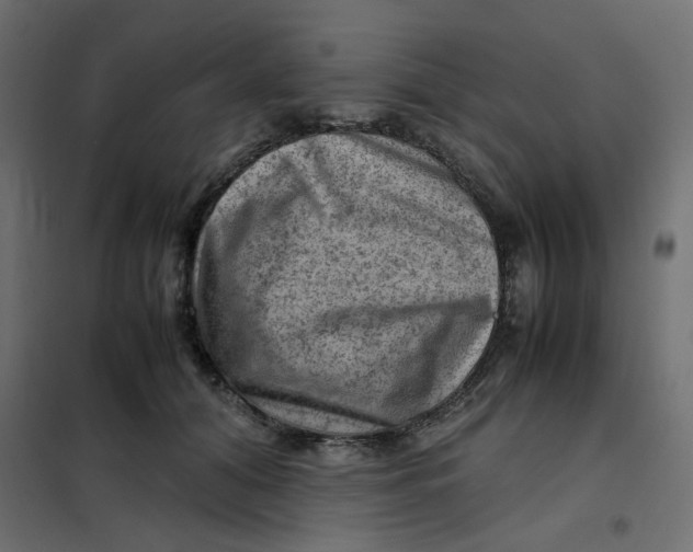 X0000102010608200808081726