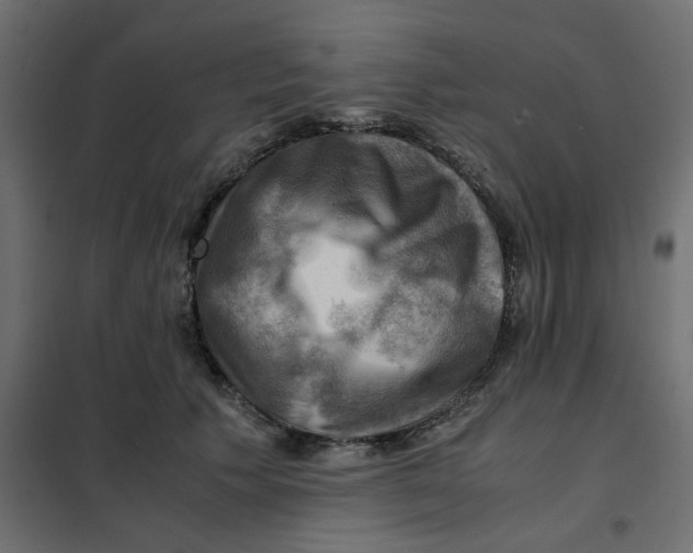 X0000102010609200808081726