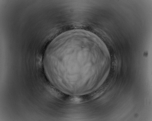 X0000102010610200808081726