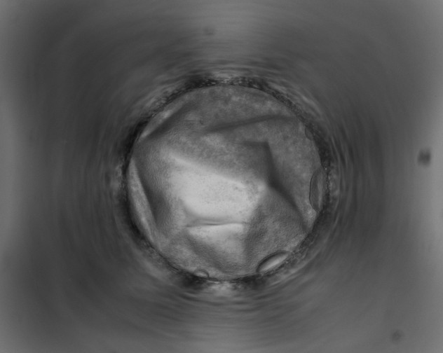 X0000102010611200808081726