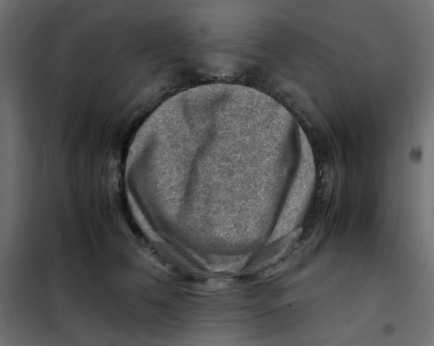 X0000102010612200808081726