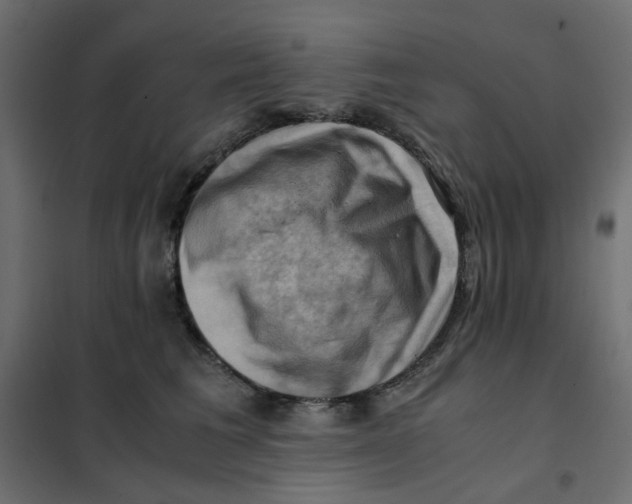 X0000102010613200808081726