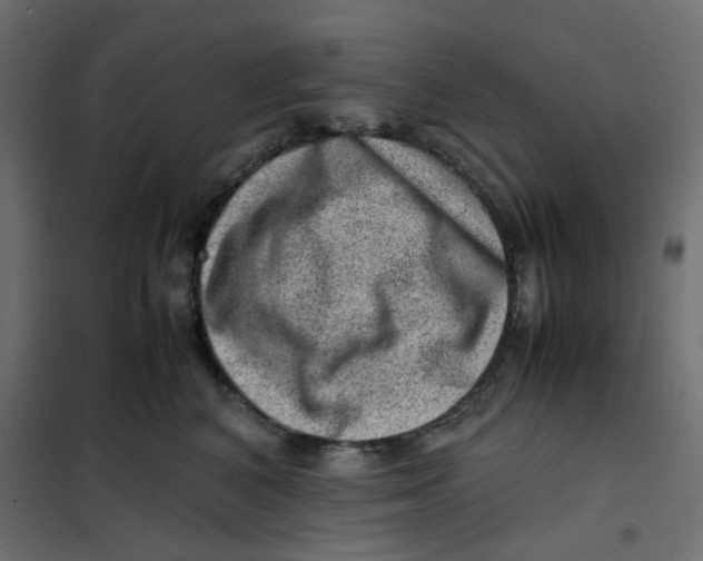 X0000102010616200808081726