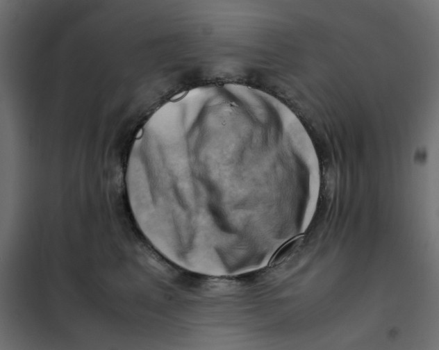 X0000102010617200808081726