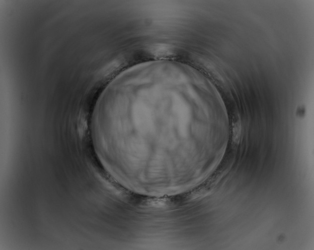 X0000102010618200808081726