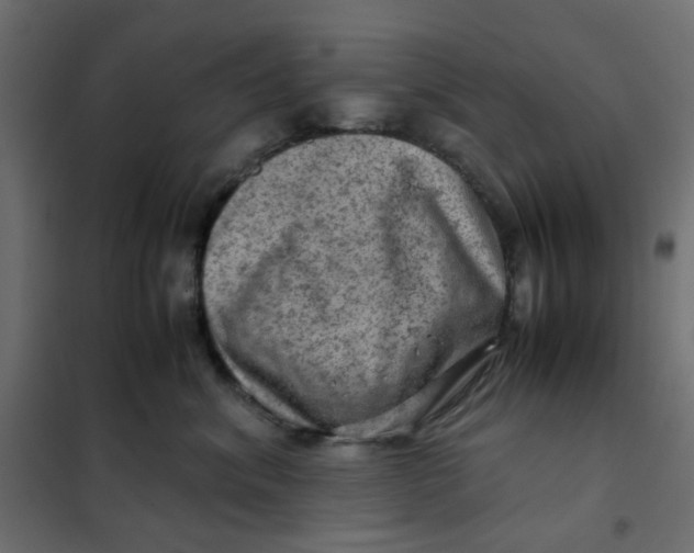 X0000102010620200808081726