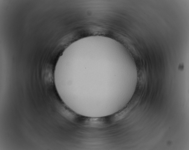 X0000102010622200808081726