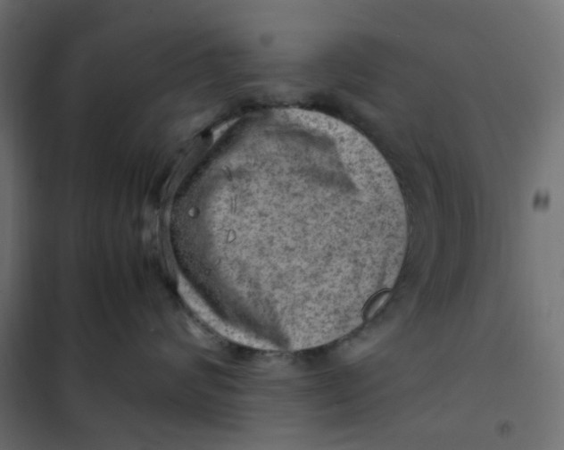 X0000102010624200808081726