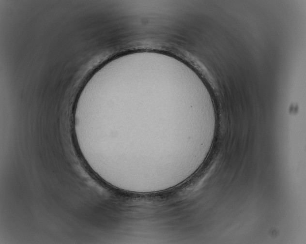 X0000102010625200808081725