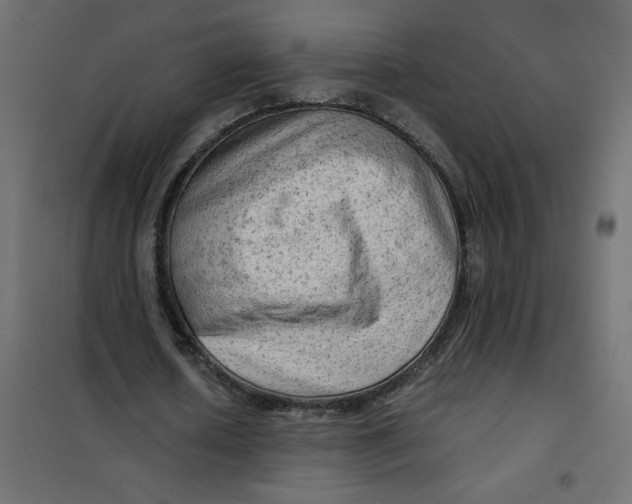 X0000102010626200808081725