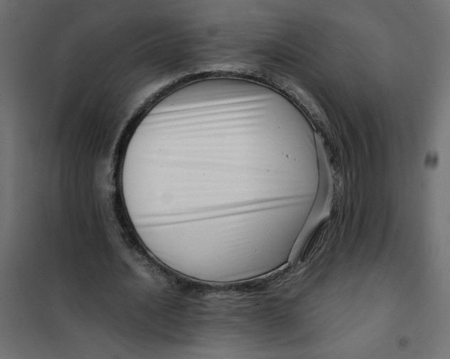 X0000102010628200808081725