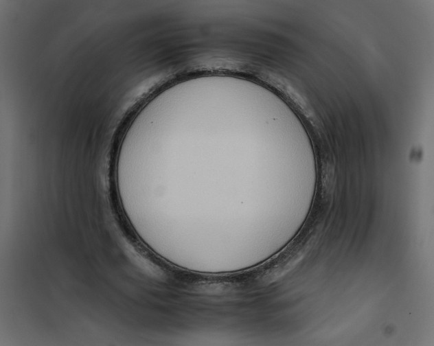 X0000102010629200808081725