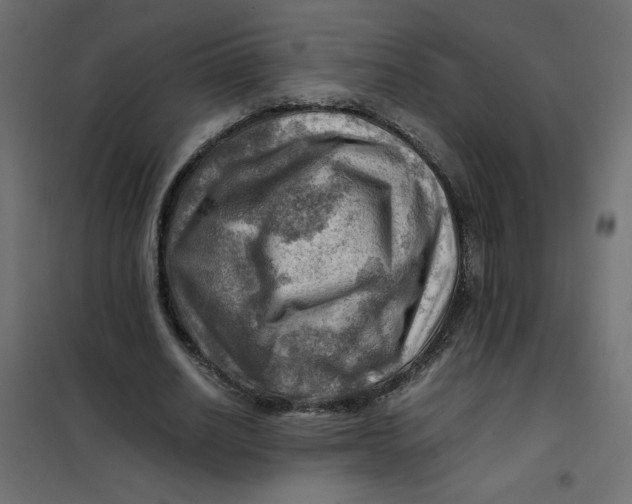 X0000102010630200808081725