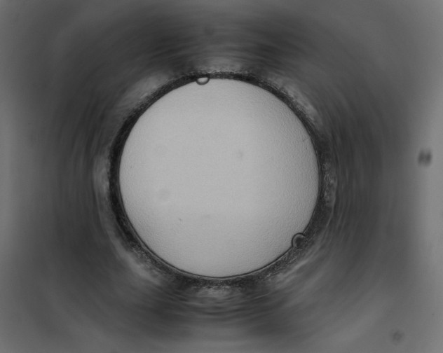 X0000102010631200808081725