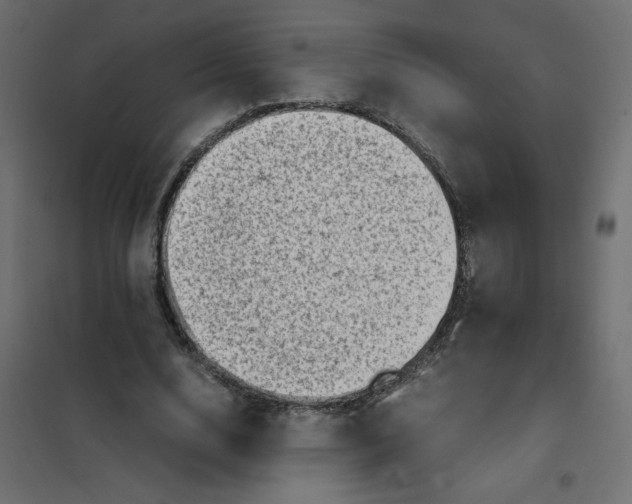 X0000102010632200808081725