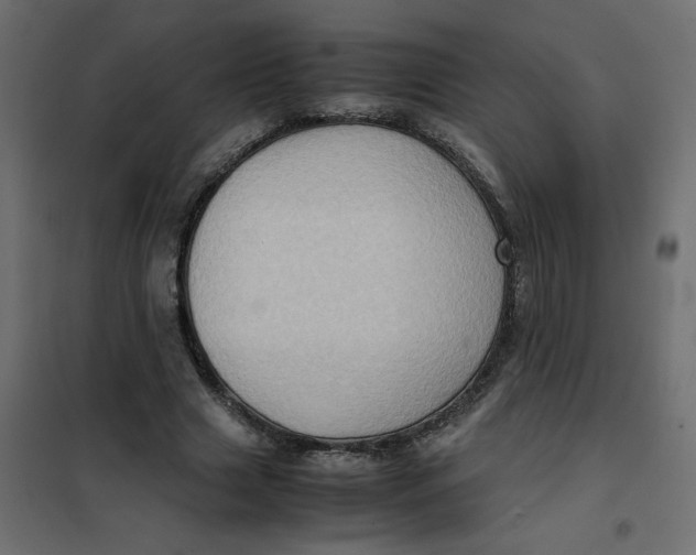 X0000102010633200808081725