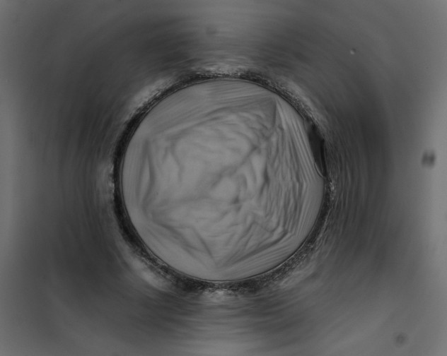 X0000102010634200808081725