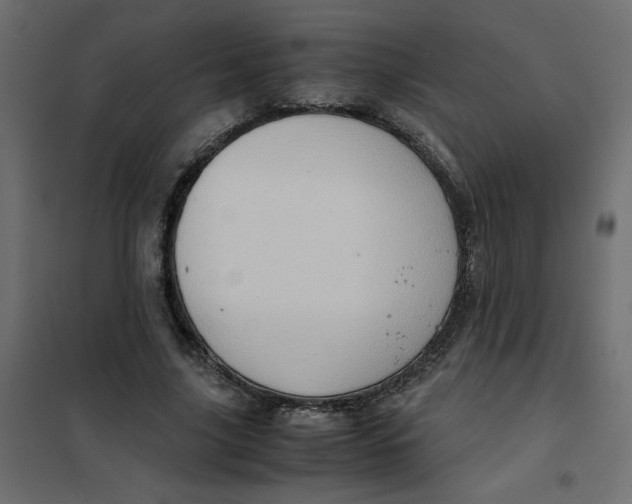 X0000102010635200808081725