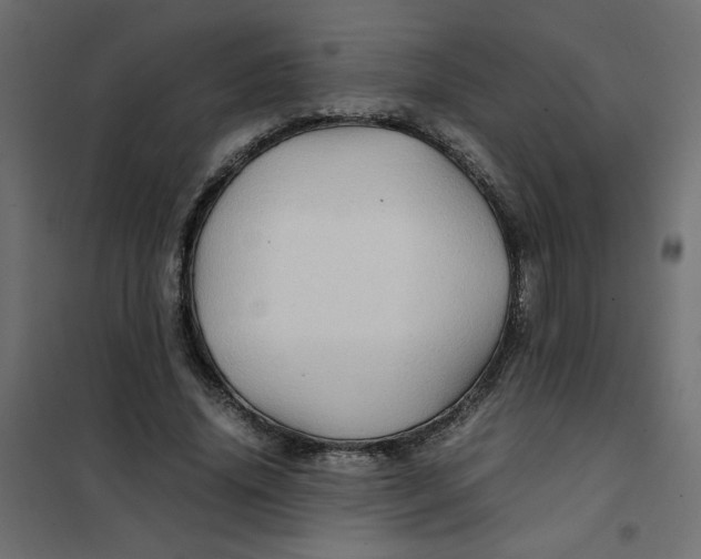 X0000102010636200808081725