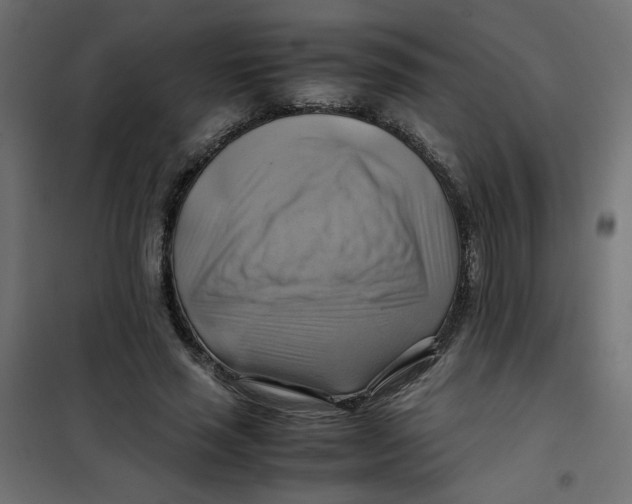 X0000102010637200808081725