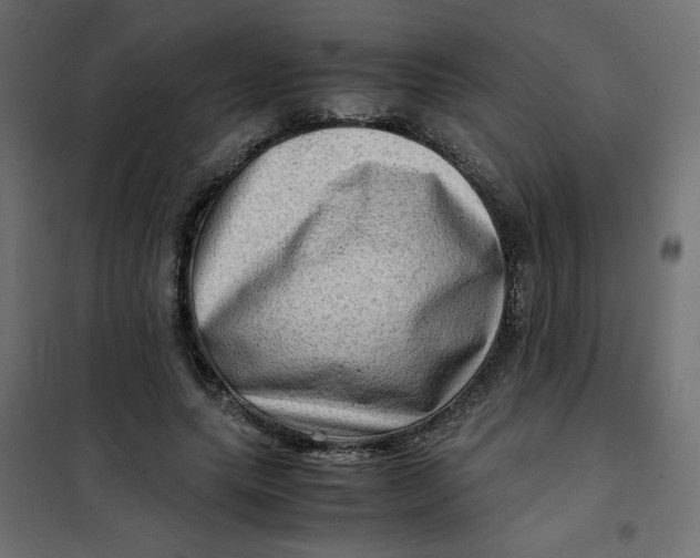 X0000102010639200808081725