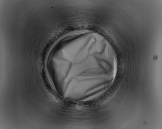 X0000102010641200808081725