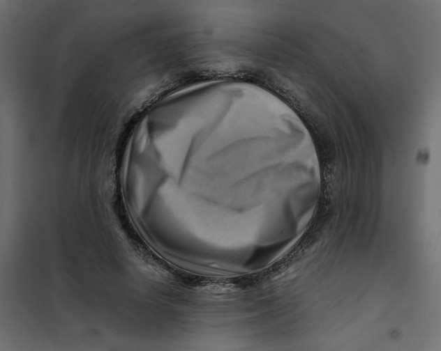 X0000102010642200808081725