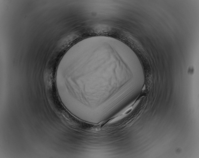 X0000102010644200808081725