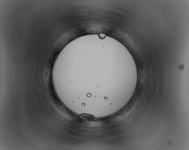 X0000102010645200808081725