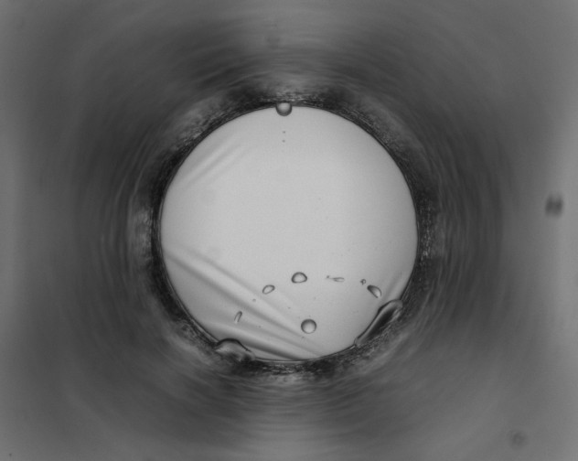 X0000102010646200808081725