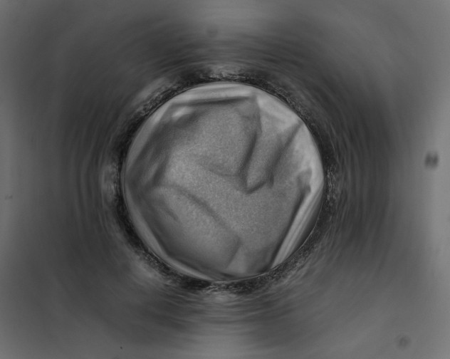 X0000102010648200808081725