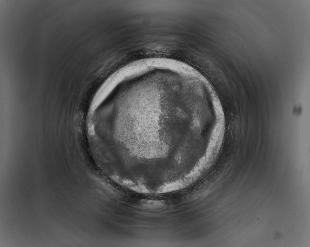 X0000102010649200808081725