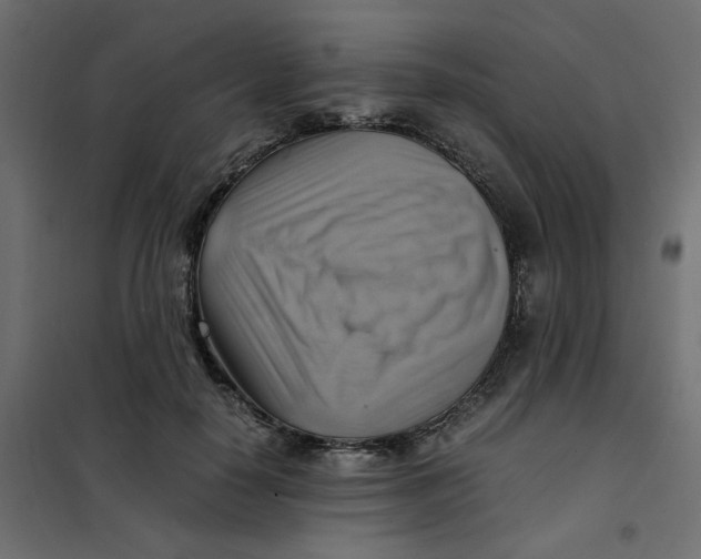 X0000102010650200808081725