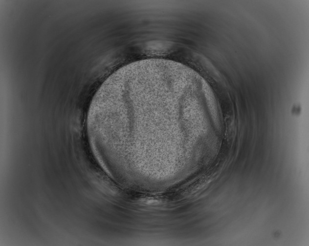 X0000102010655200808081725