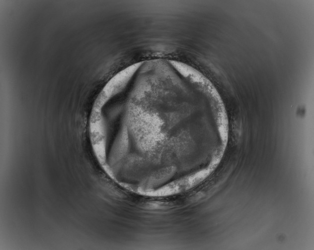 X0000102010657200808081725