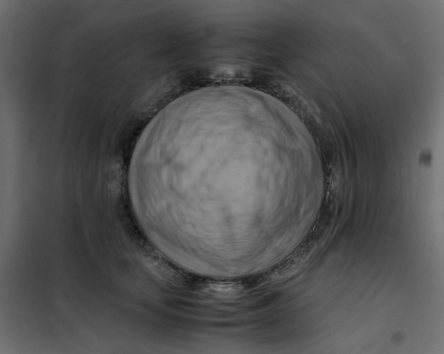 X0000102010659200808081725