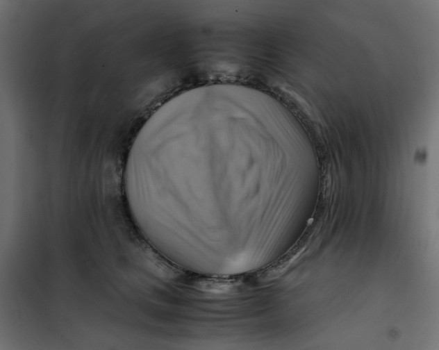 X0000102010661200808081725