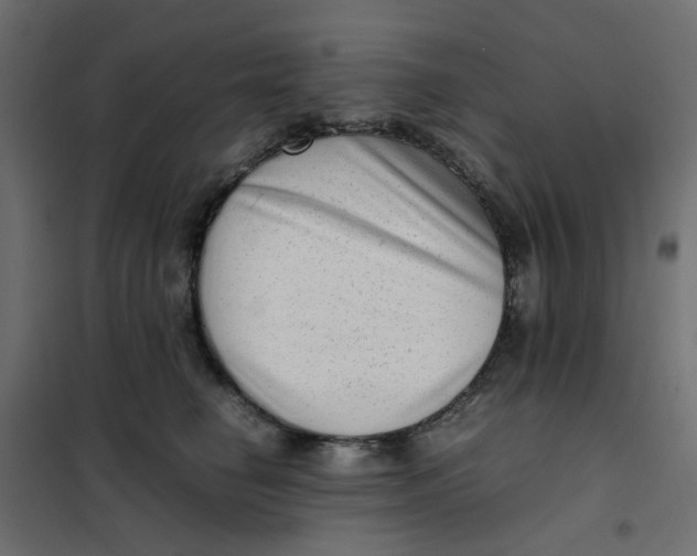 X0000102010662200808081726