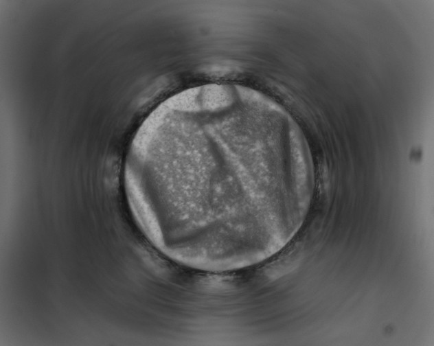 X0000102010664200808081726