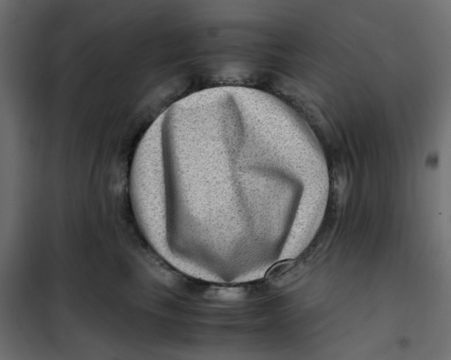 X0000102010665200808081726