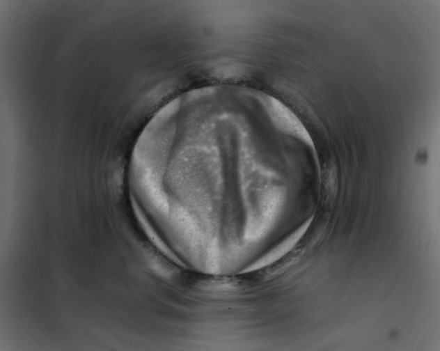 X0000102010668200808081726