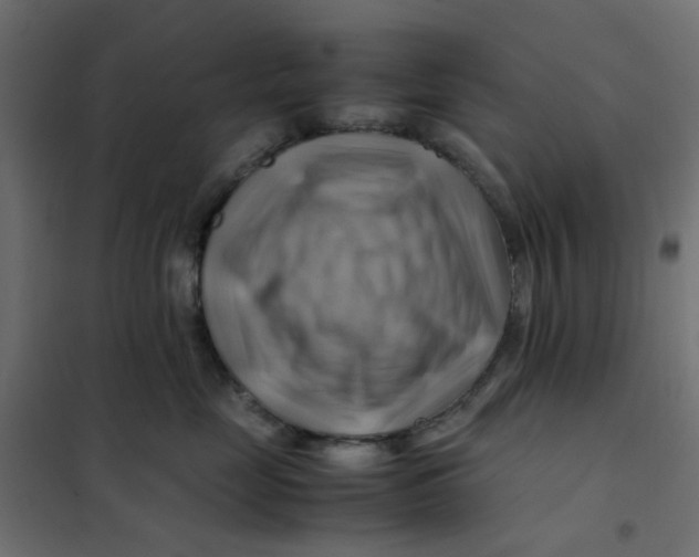 X0000102010669200808081726