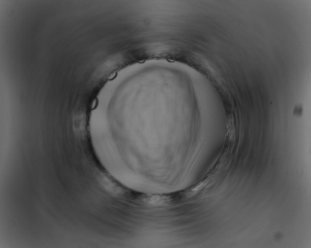 X0000102010670200808081726