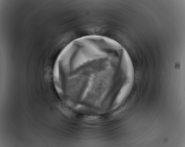 X0000102010671200808081726