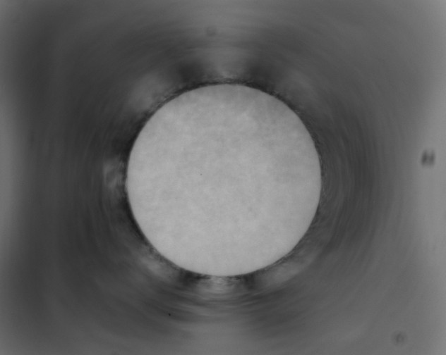 X0000102010672200808081726